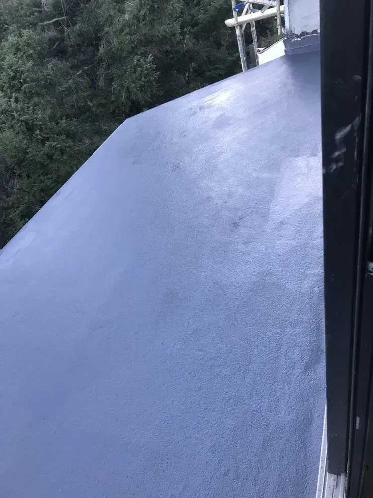 Gray painted flat roof with trees in the background.
