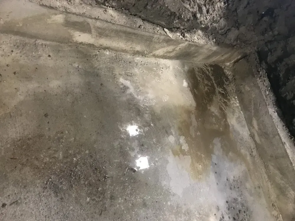 Concrete surface with water and debris, in a corner.