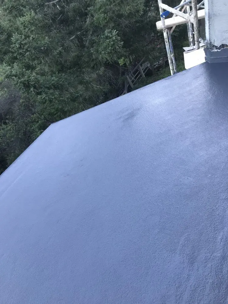Dark, angled roof with a light grey area. Trees and a white structure with a tower are visible in the background.