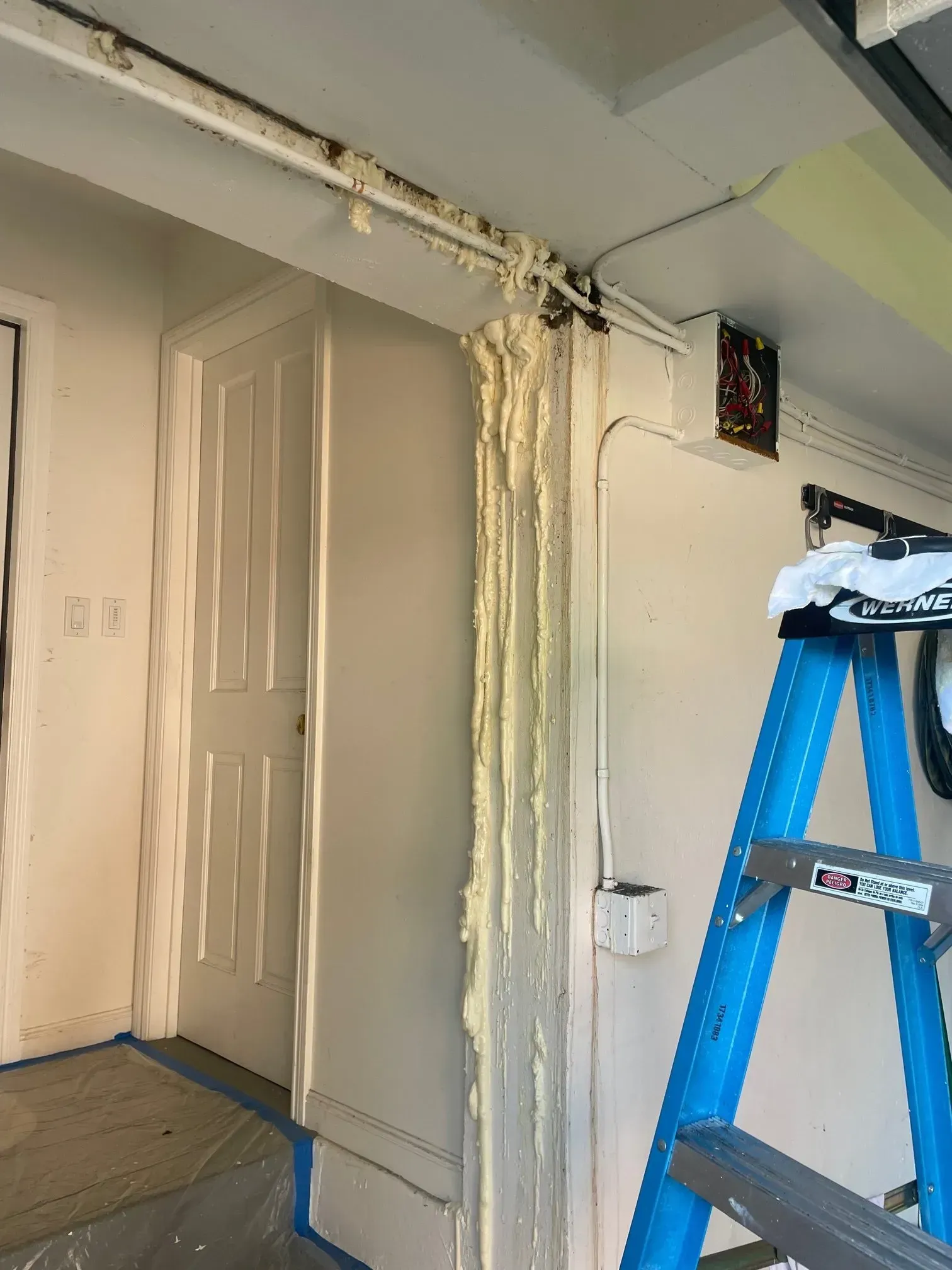 Yellow expanding foam sealant dripping down a white wall, near a door and a blue ladder.