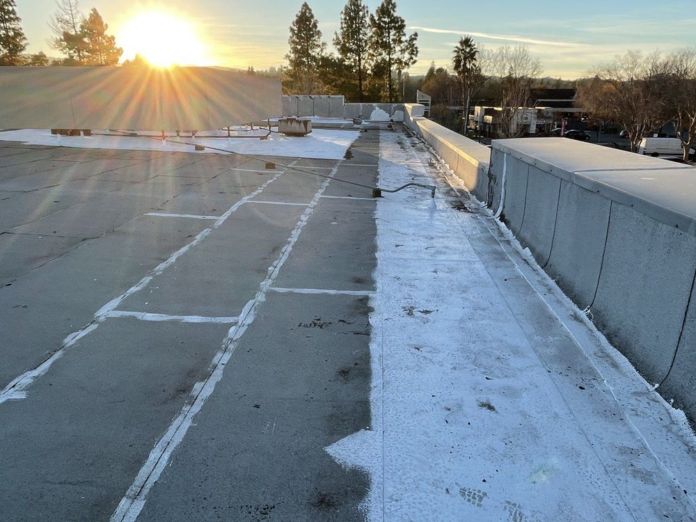 Rooftop view at sunset. Grey flat roof with patches of white; sun shining in background.