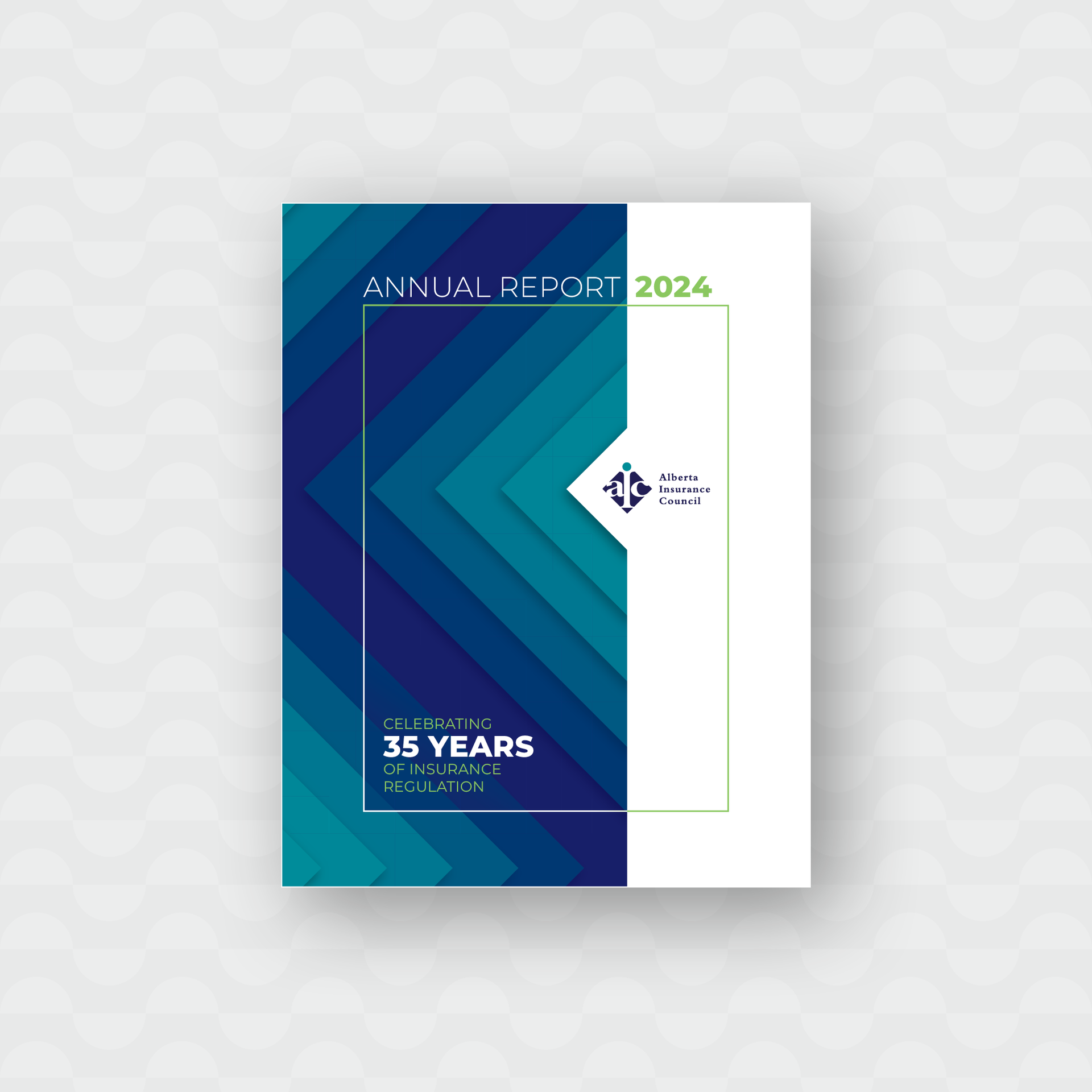  Annual Report 2024