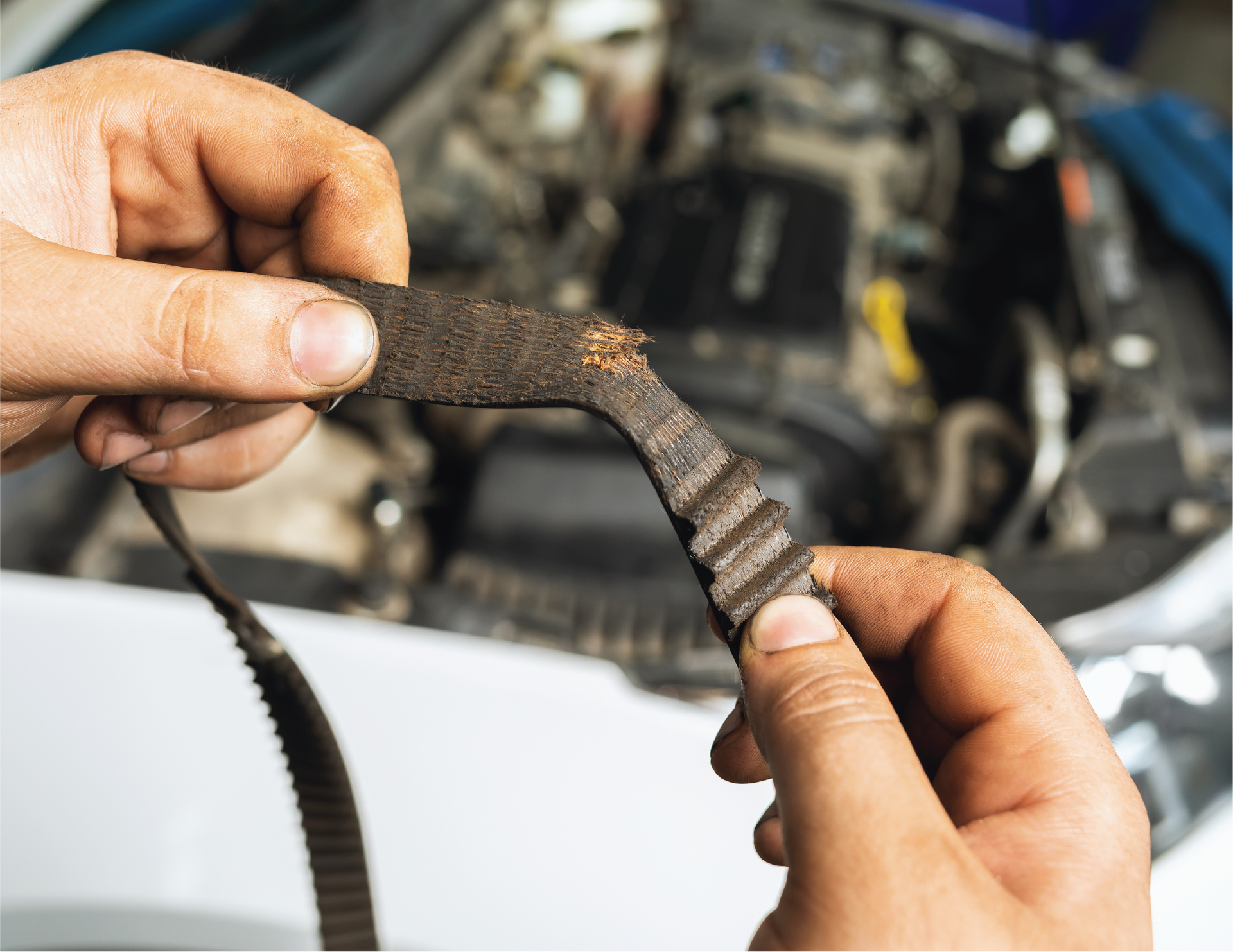 A person is holding a dirty belt in front of a car engine.