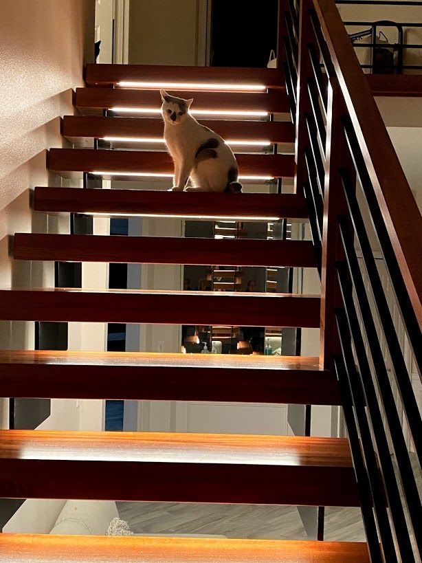Building a New House? Consider Your Stairs!