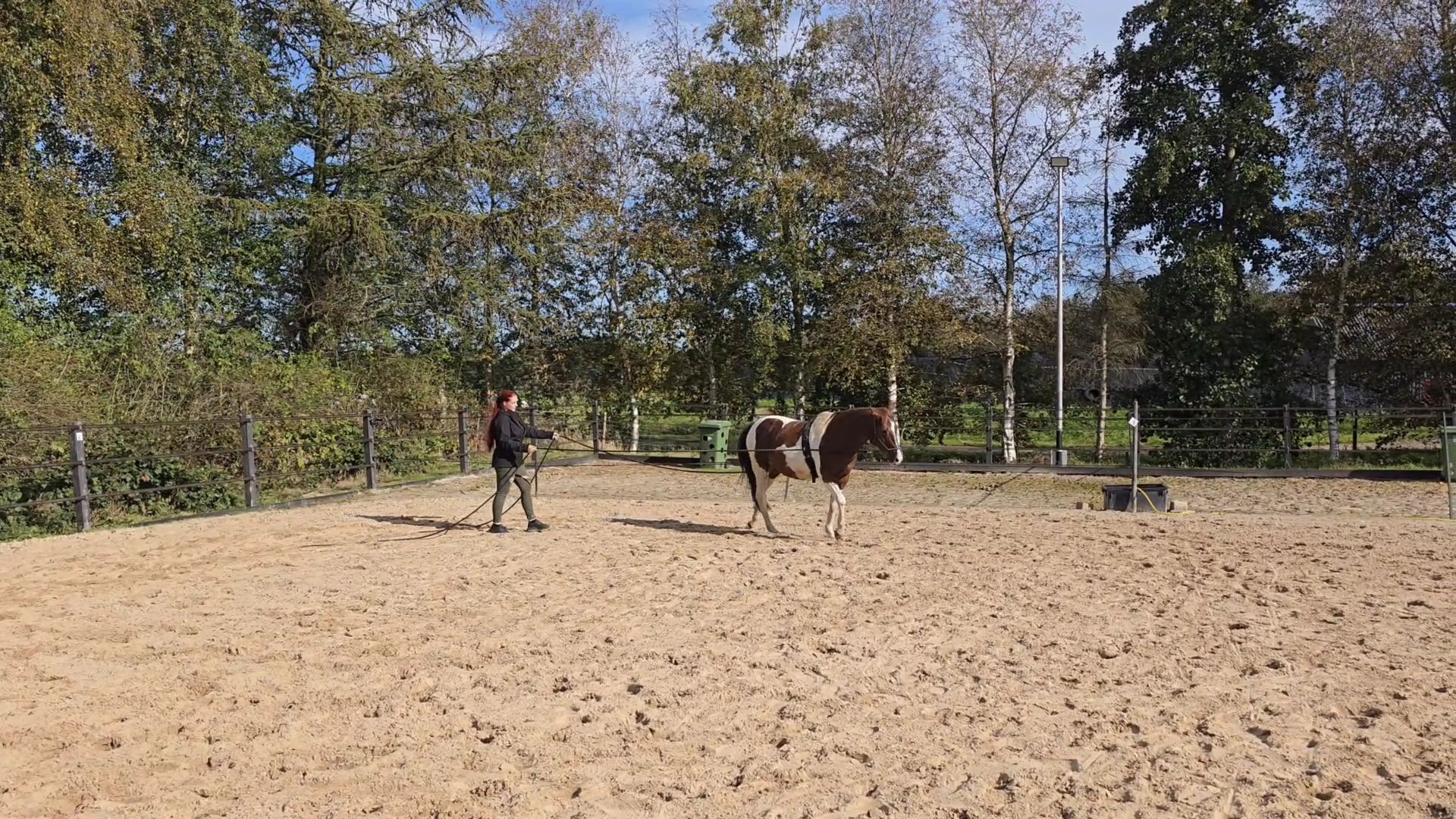 dubbele lange lijnen