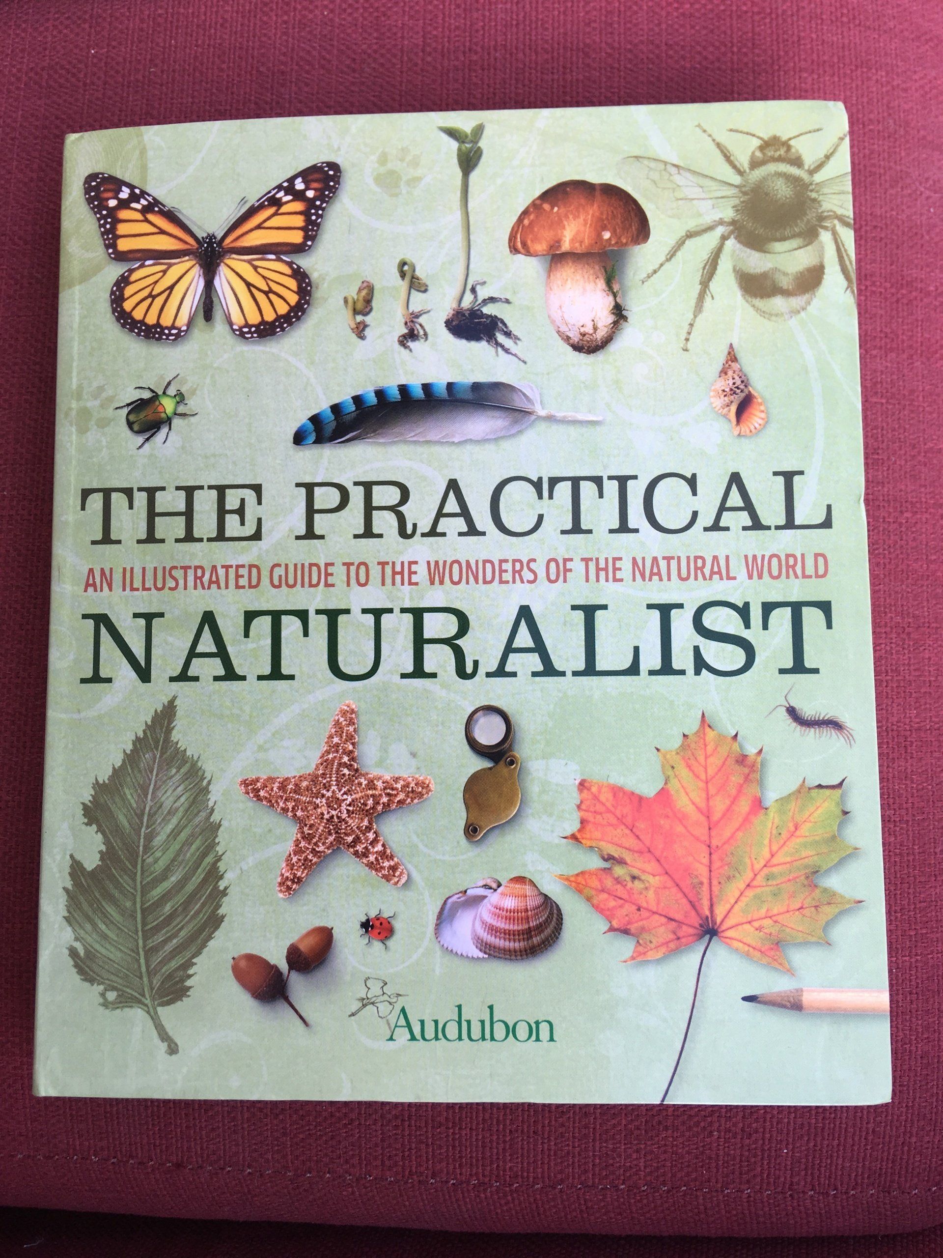 The Audubon Practical Naturalist Book Great details and photos