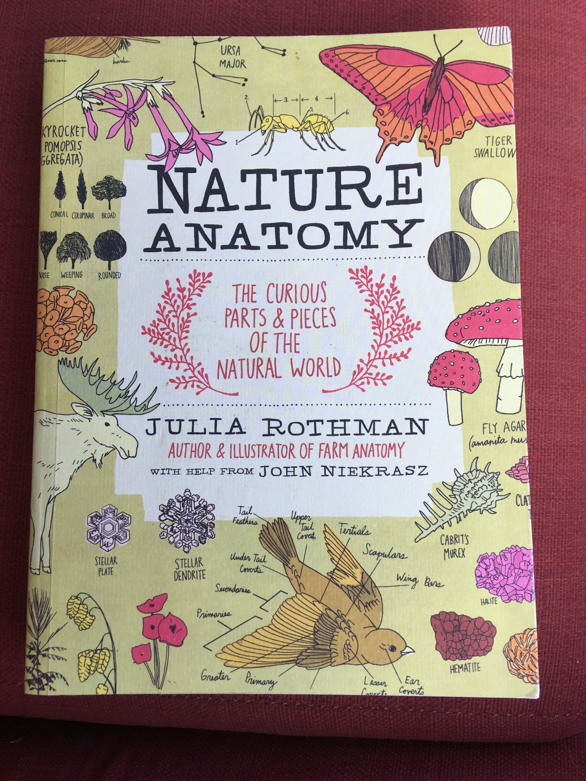 Nature Anatomy Book Great For Homeschool and Mature journaling