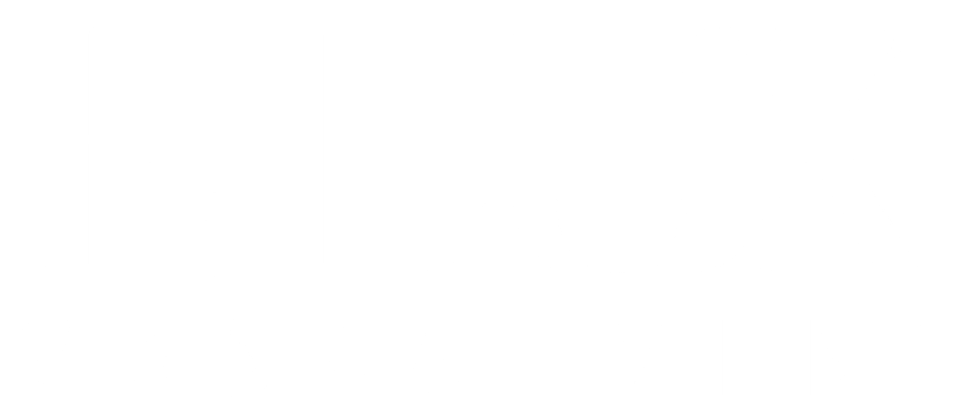 Elux Management logo