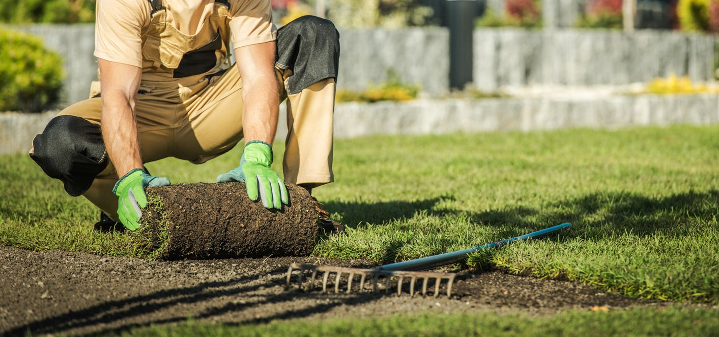 A person laying sod in a yard with gloves on. A rake is nearby.