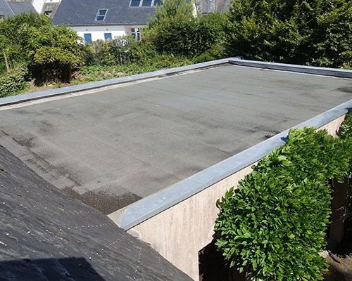 a roof with a few plants on it and a house in the background