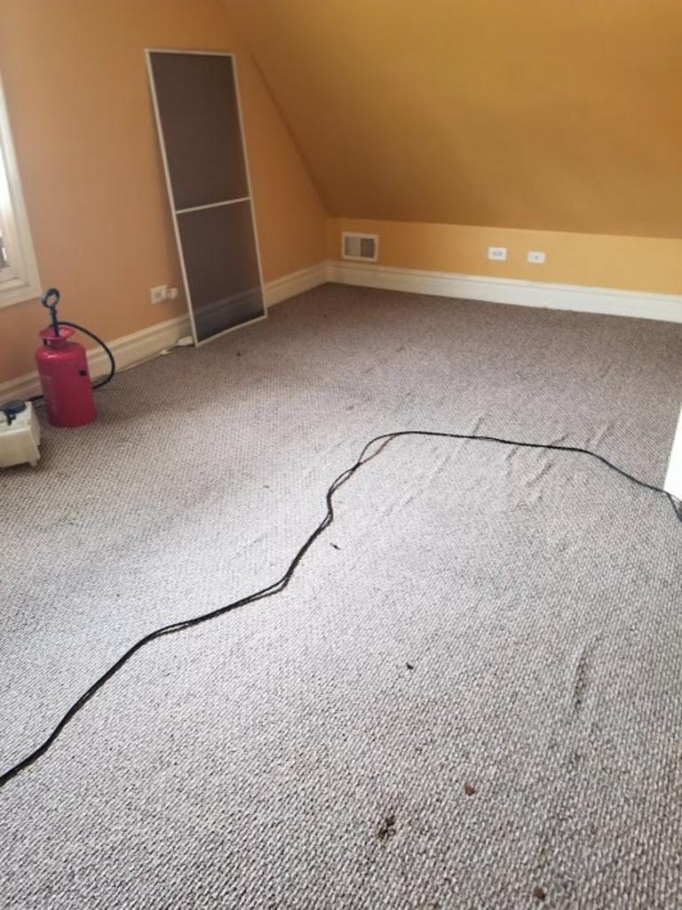 Room With Vacuum Cleaner