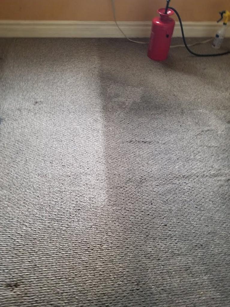 Carpet With Dirt