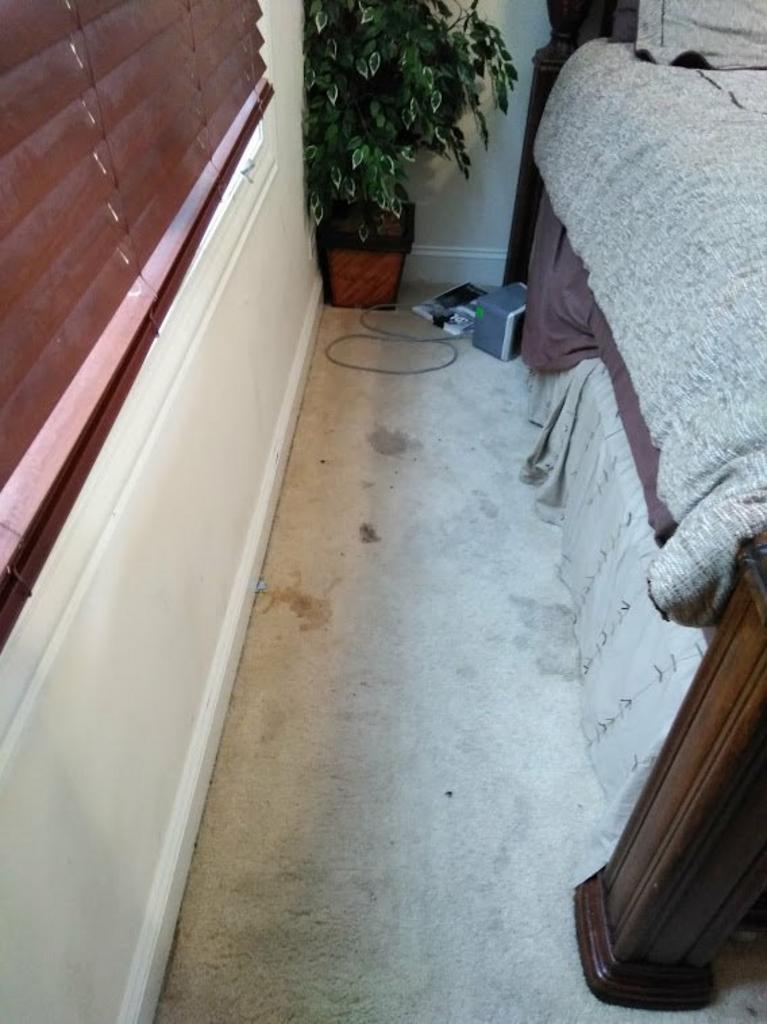 White Carpet With Stain