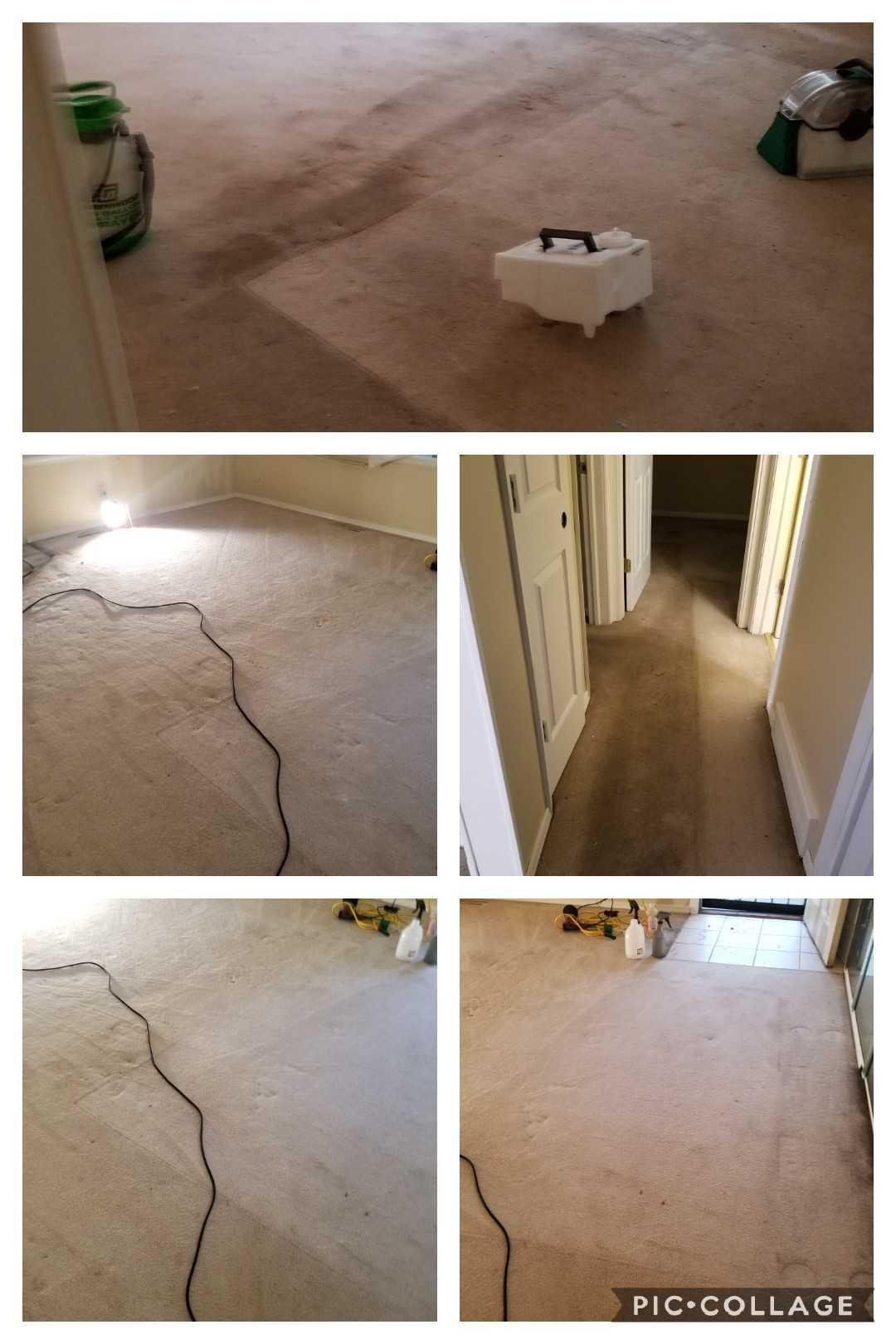 Collage Photo Of Carpet Inside The House
