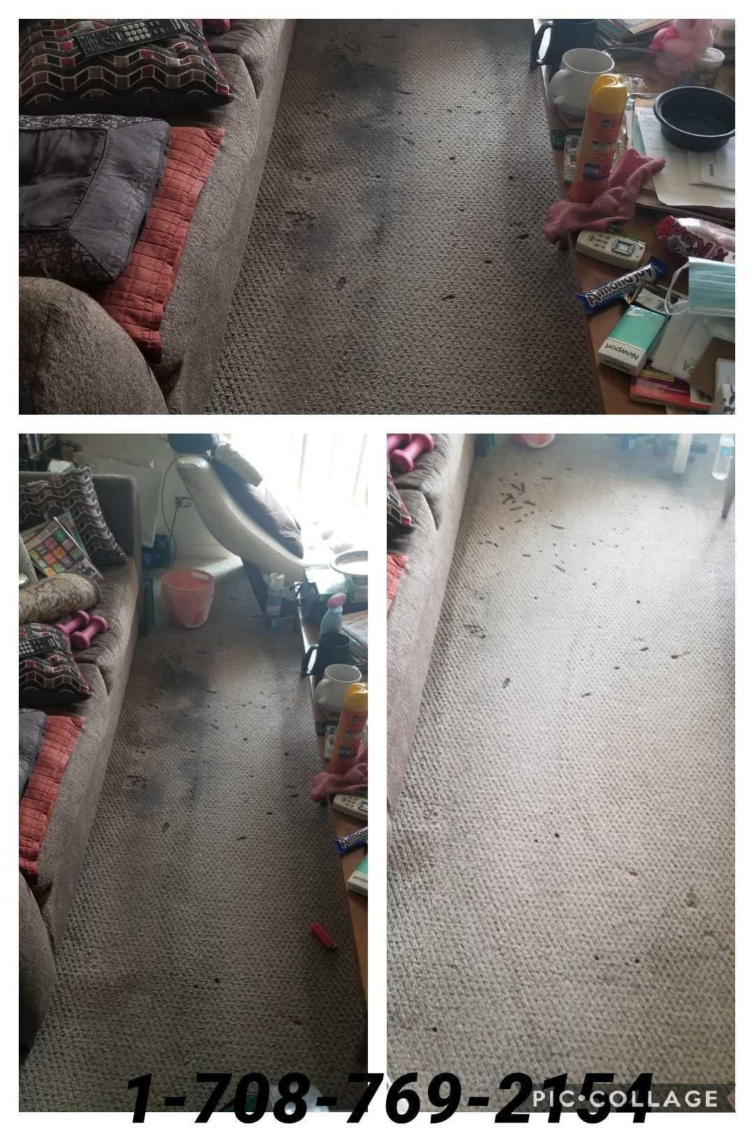 Before And After Photo Of A Dirty Carpet