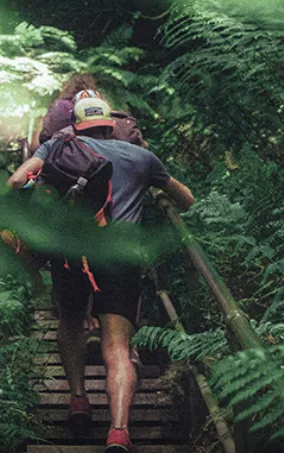 Hikers climb wooden stairs through lush green forest, wearing backpacks and hats.