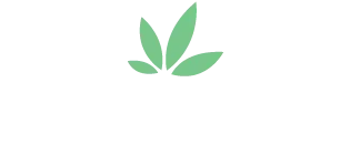 Green leaves graphic.