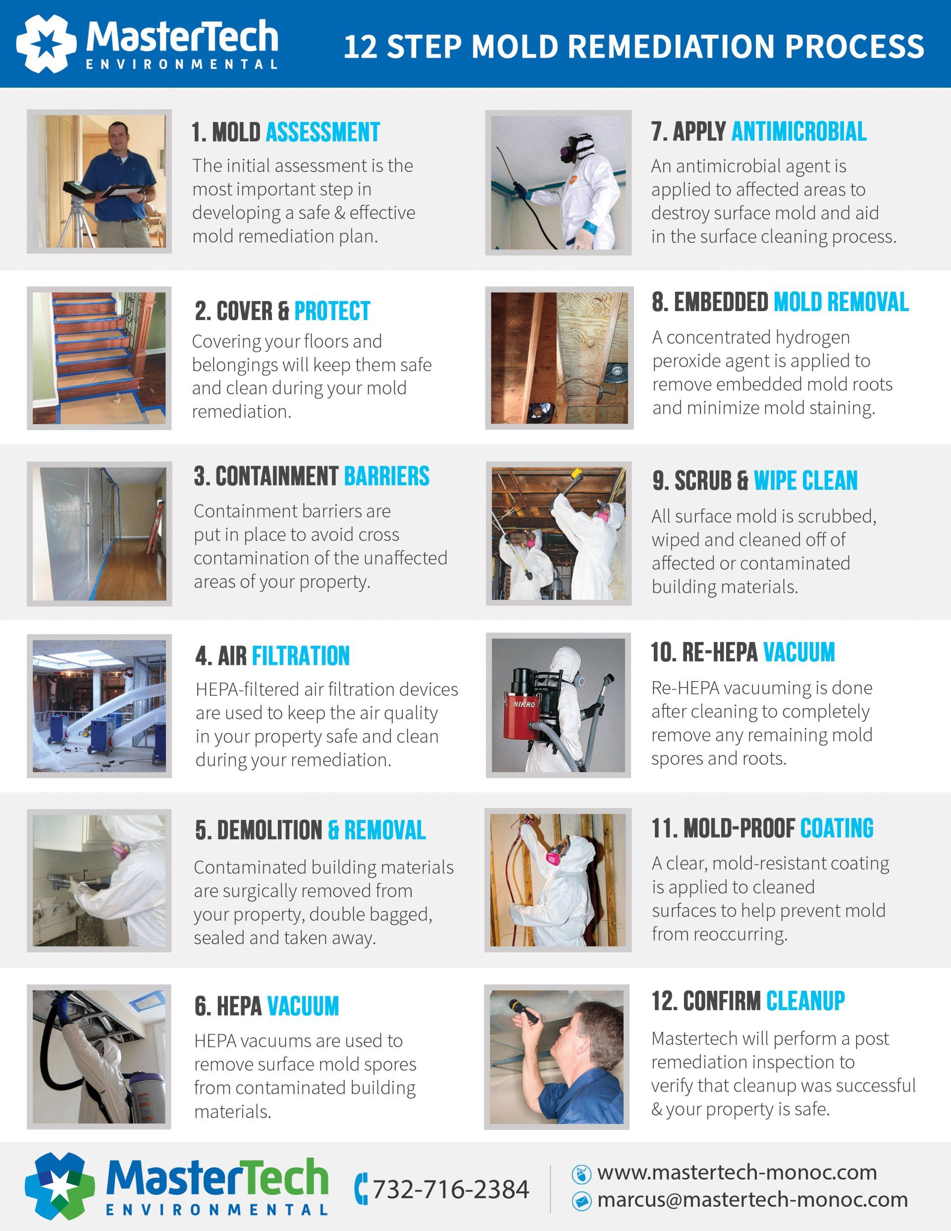 Mold Cleanup Process San Gabriel Valley CA