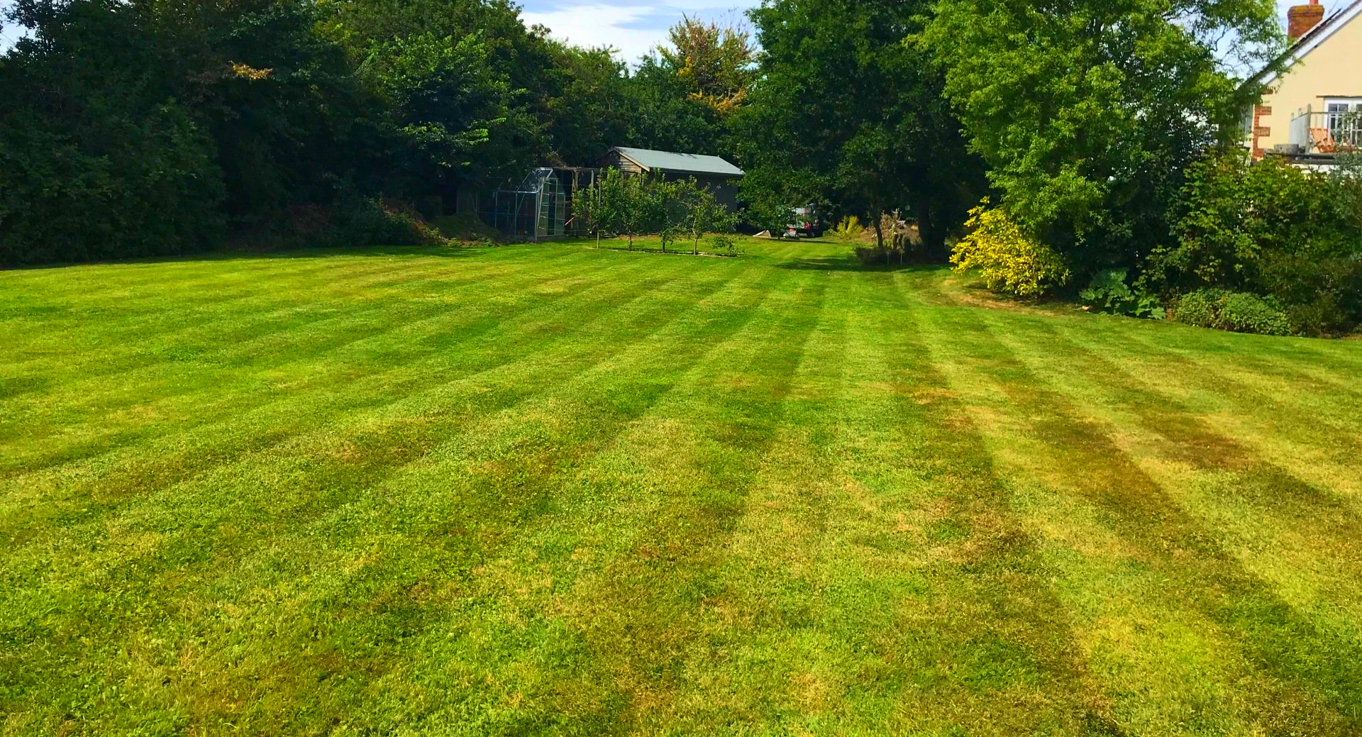 Lawn Care & Maintenance