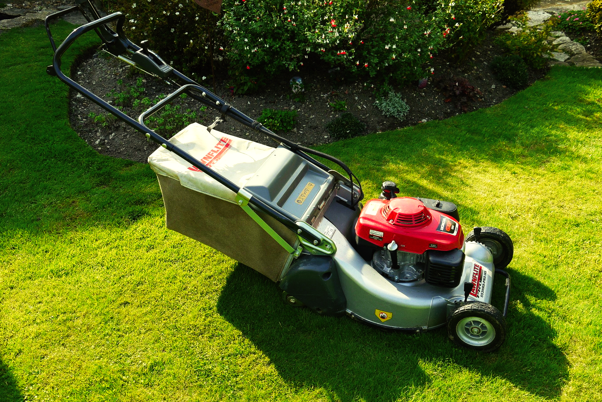 Hedge & Lawn Management Service