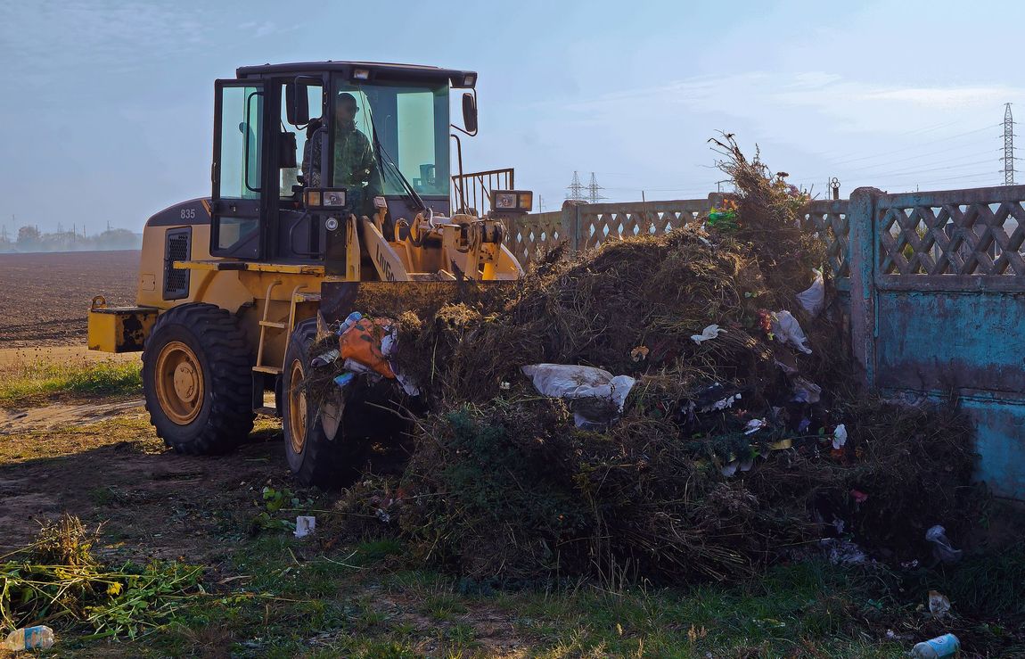cleaning brush piles