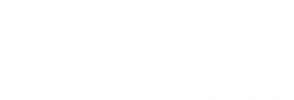 VALFLEX logo negativo