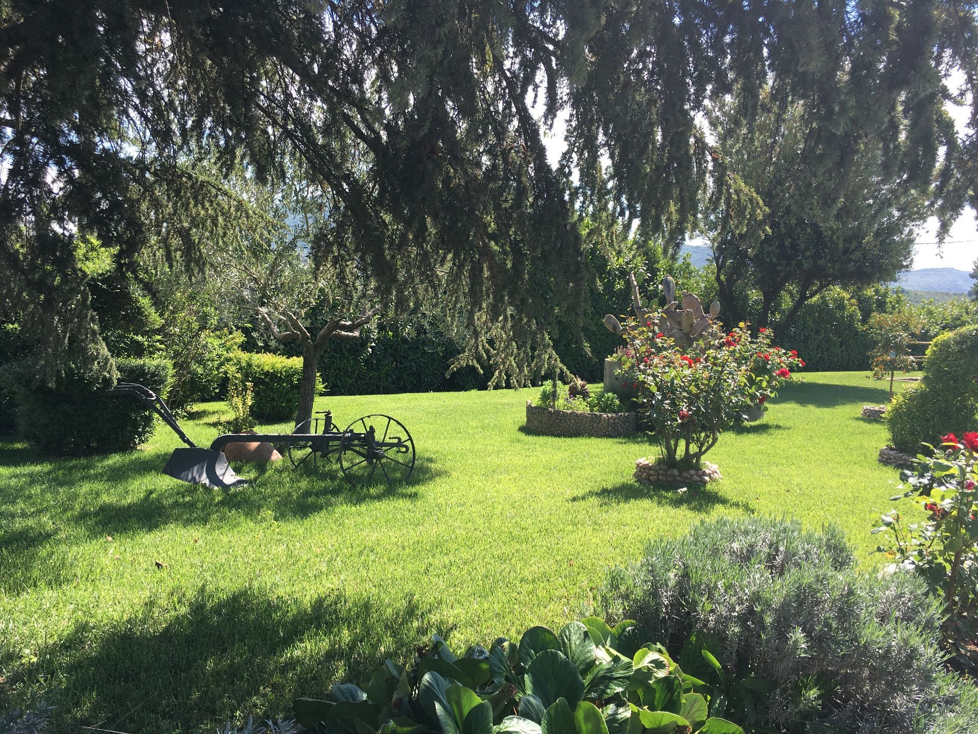 Un prato verde e rigoglioso con un piccolo carro antico, cespugli di rose e vari cespugli potati sotto un albero piangente.