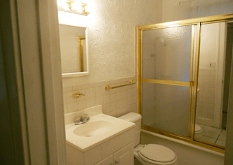 Foster Bathroom — Easy Access Bathroom with New Fixtures in Southfield, MI