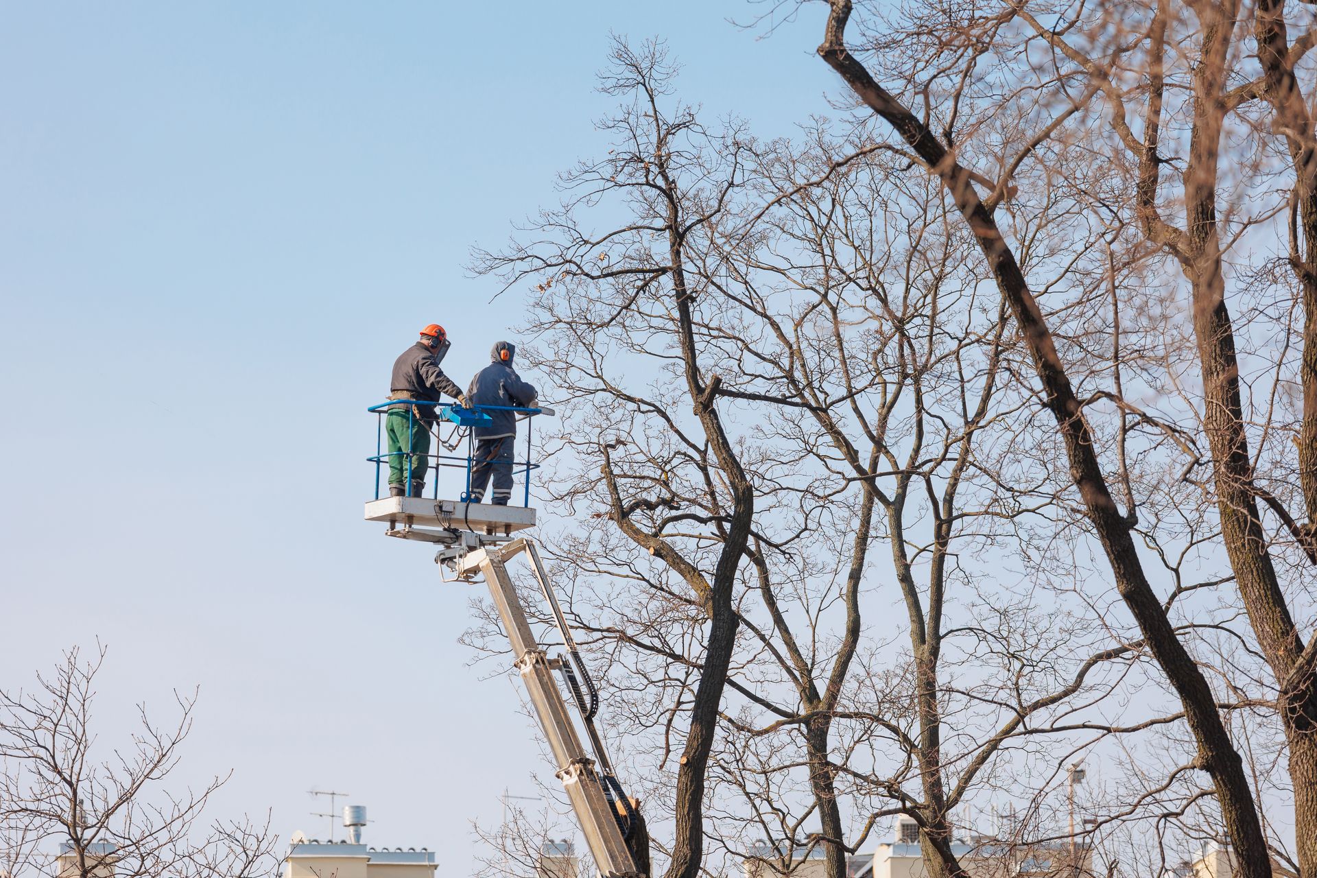 two men in uniform cutting tree branches