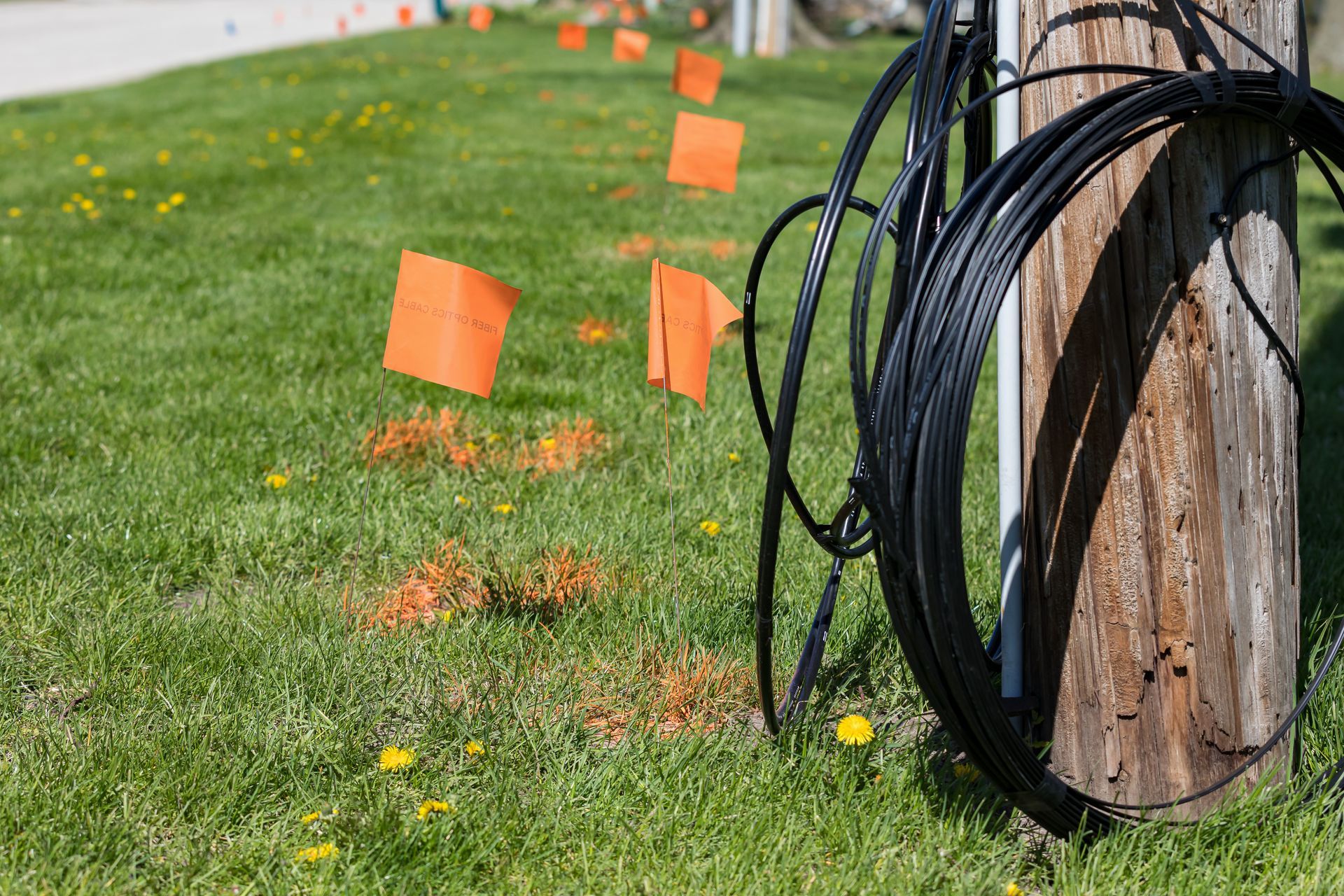 Contractors locating underground utilities.