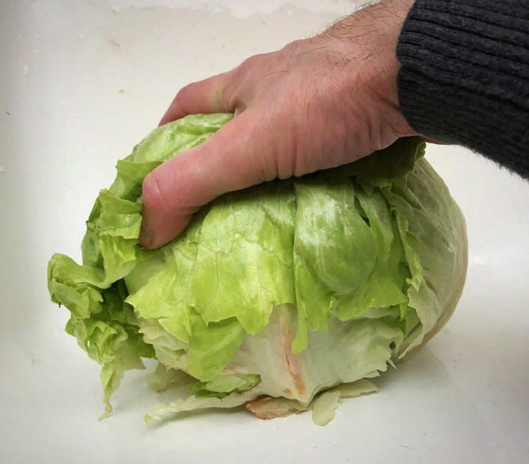 lettuce