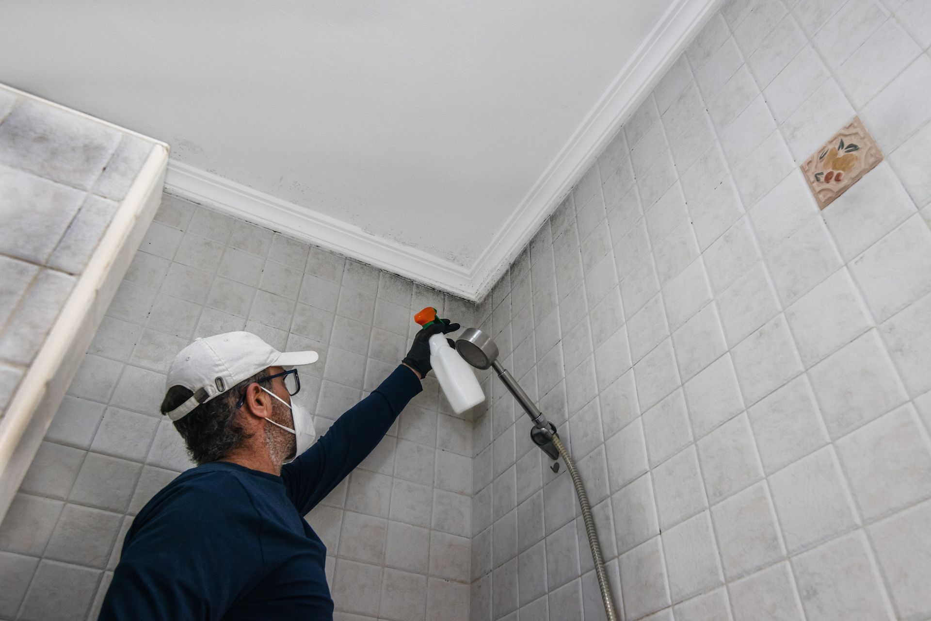 A man with latex gloves cleans mold from tiles and ceiling in a bathroom with a sprayer. A man with latex gloves cleans mold from tiles and ceiling in a bathroom with a sprayer.