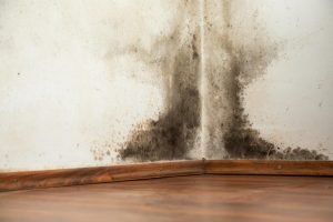 Mistakes that CAUSE mold