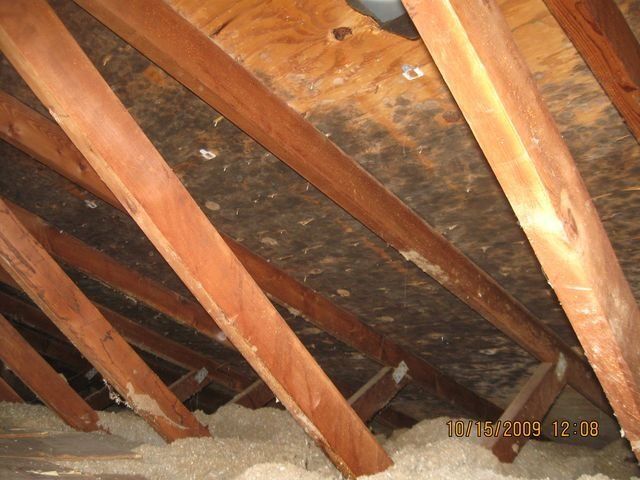 Attic — Lincoln, NE — A1 Mold Testing & Remediation