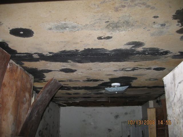 Ceiling — Lincoln, NE — A1 Mold Testing & Remediation
