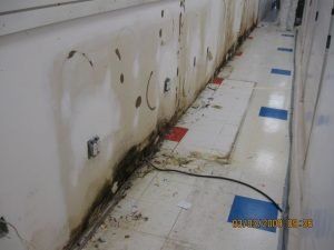 Hallway Wall With Molds — Lincoln, NE — A1 Mold Testing & Remediation