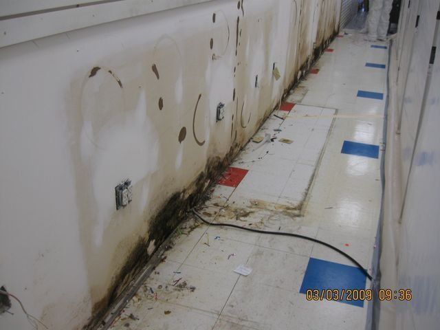 Commercial Mold Testing — Lincoln, NE — A1 Mold Testing & Remediation