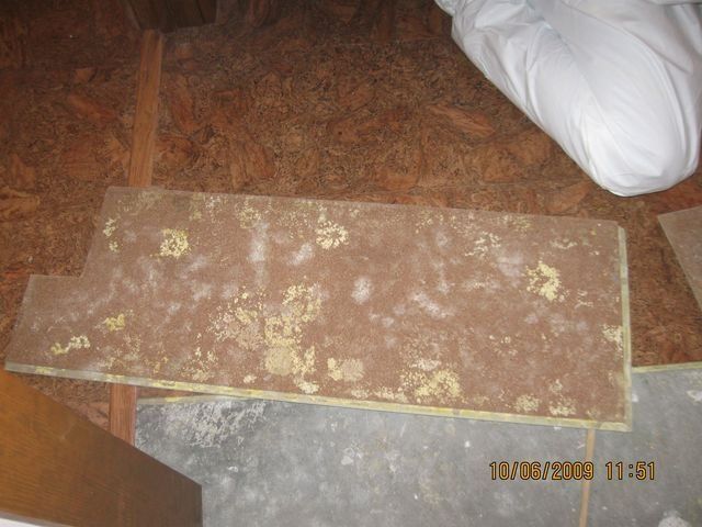Moldy Wood — Lincoln, NE — A1 Mold Testing & Remediation