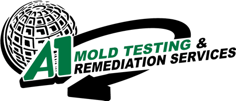 Mold Services Lincoln NE A1 Mold Testing Remediation