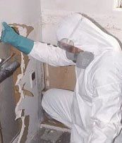 Man Wearing Protective Suit — Lincoln, NE — A1 Mold Testing & Remediation