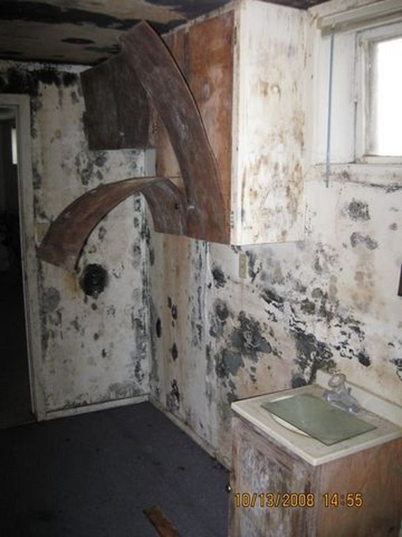 Moldy Wall — Lincoln, NE — A1 Mold Testing & Remediation