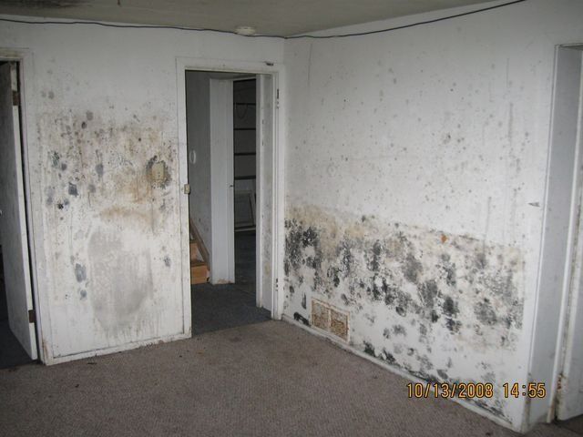 Moldy Room — Lincoln, NE — A1 Mold Testing & Remediation