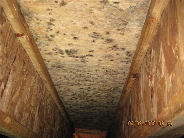 Under Floor — Lincoln, NE — A1 Mold Testing & Remediation
