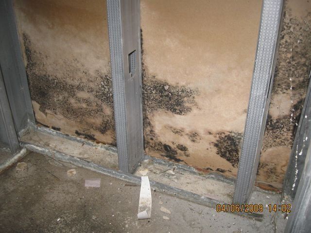 Wall Cover With Mold — Lincoln, NE — A1 Mold Testing & Remediation