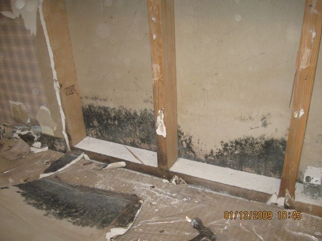 A Moldy Wall — Lincoln, NE — A1 Mold Testing & Remediation