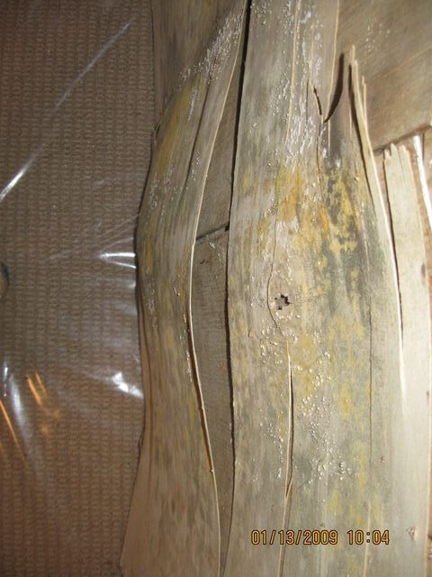 Mold On The Wrap — Lincoln, NE — A1 Mold Testing & Remediation