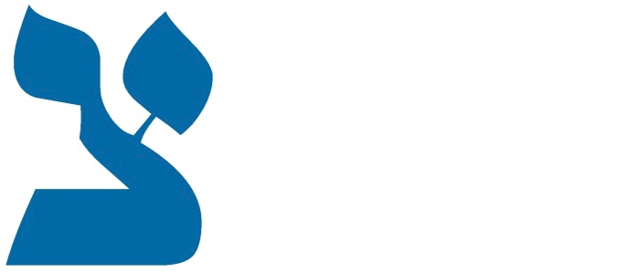 Tzade C