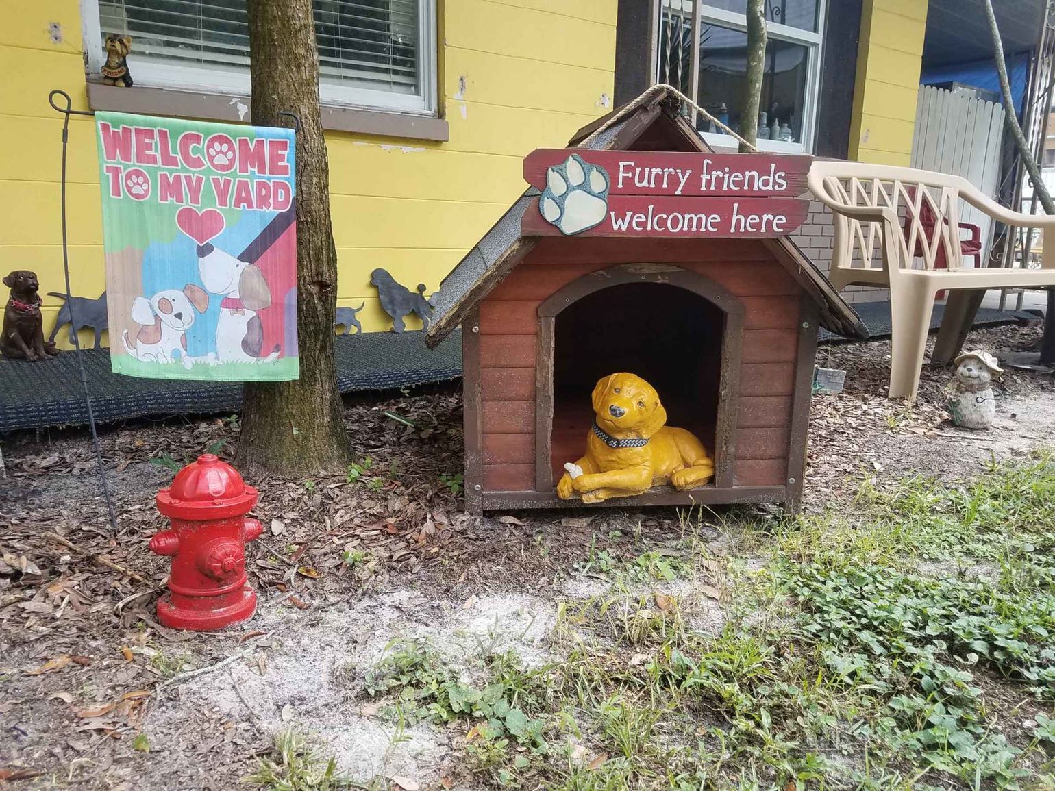 A dummy dog on a dog house — Pet Grooming Services in Tampa,, FL