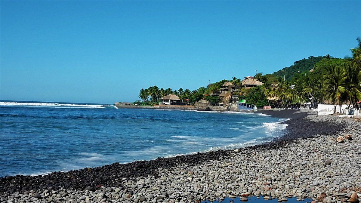 Una playa con muchas rocas y árboles en la orilla.