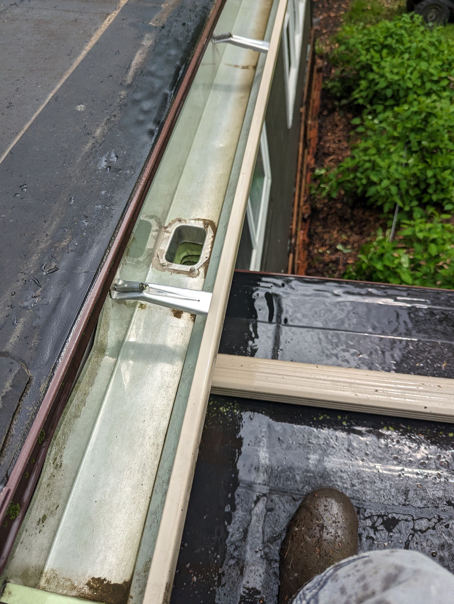 Overhead view of a roof with a gutter. A person's foot is visible. Green foliage in background.